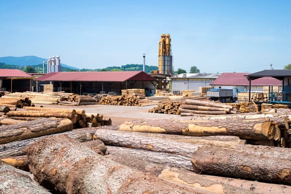 Estrategias para Reactivar la Industria Forestal en Chile